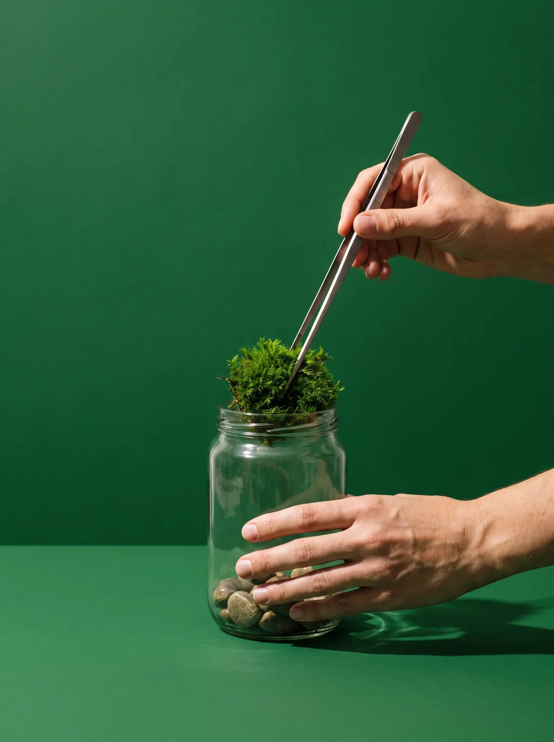 Hands placing moss into a glass jar terrarium with tweezers against a solid deep green backdrop